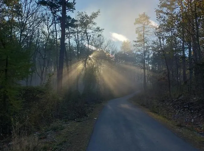 Kaethe Wutha-Farnroda